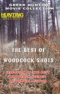 The Best Woodcock Shots