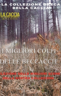 I Migliori Colpi Delle Beccaccie