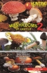 Mushrooms of Greece